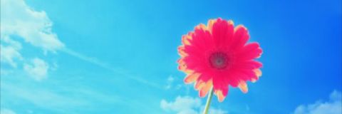 Maar015's profile banner image