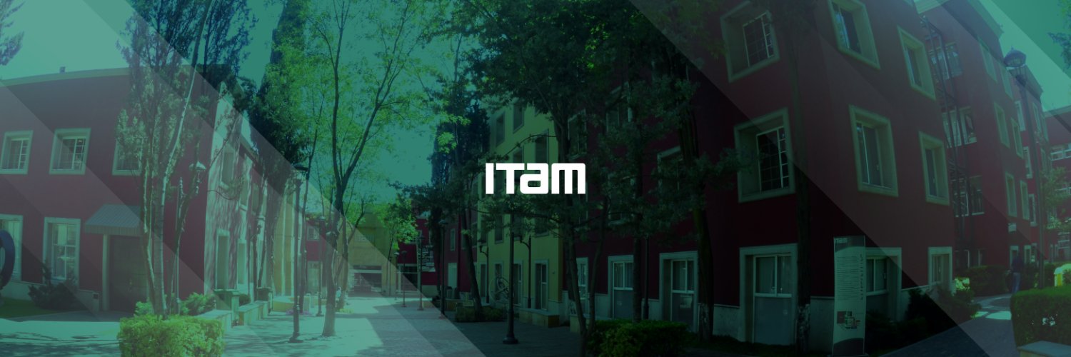 ITAM Profile Banner