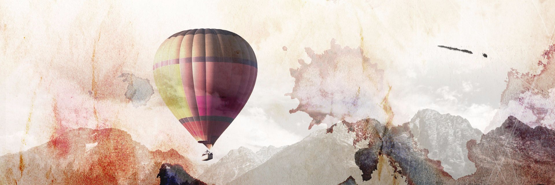 Virginia Osborne banner