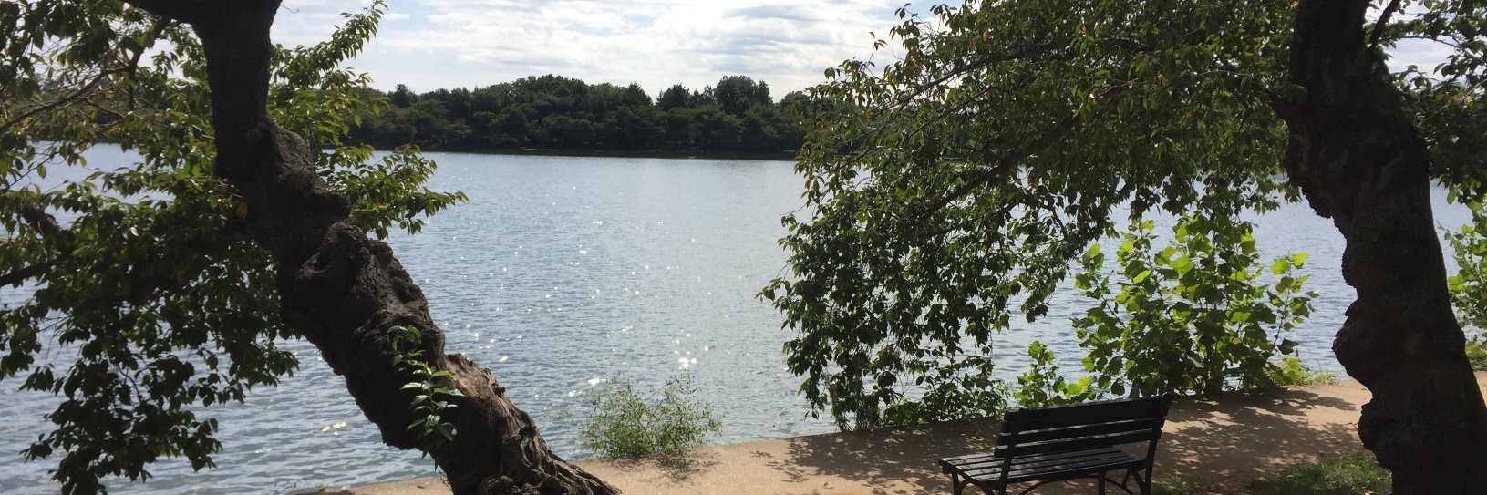 Juan Carlos Castillo banner