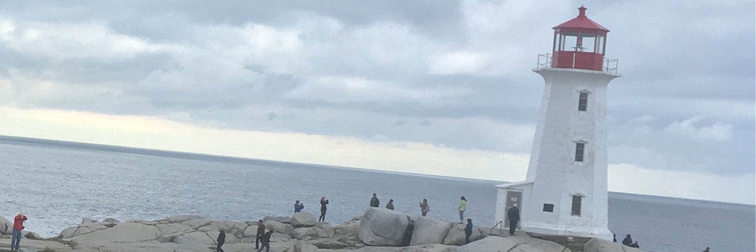 The Doodle Comic banner