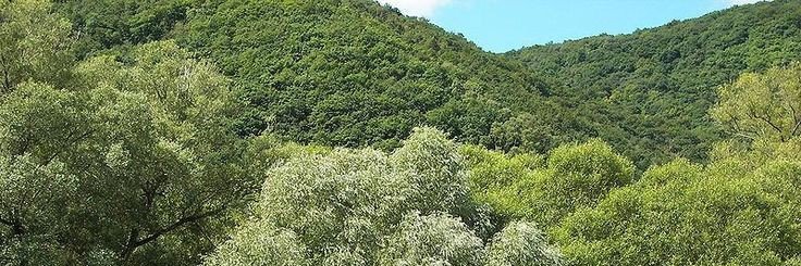 centleo20's profile banner image
