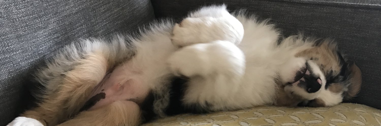 Will Piner (@piner.bsky.social) banner