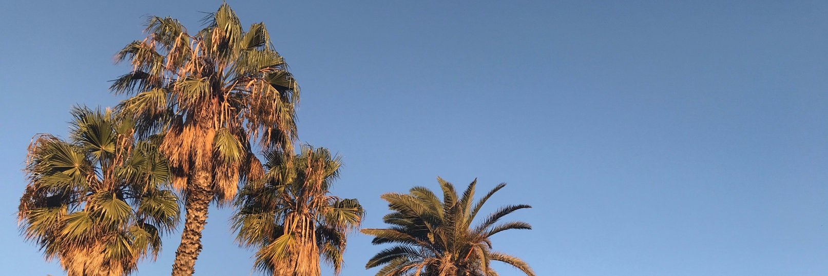ncytimothy's profile banner image