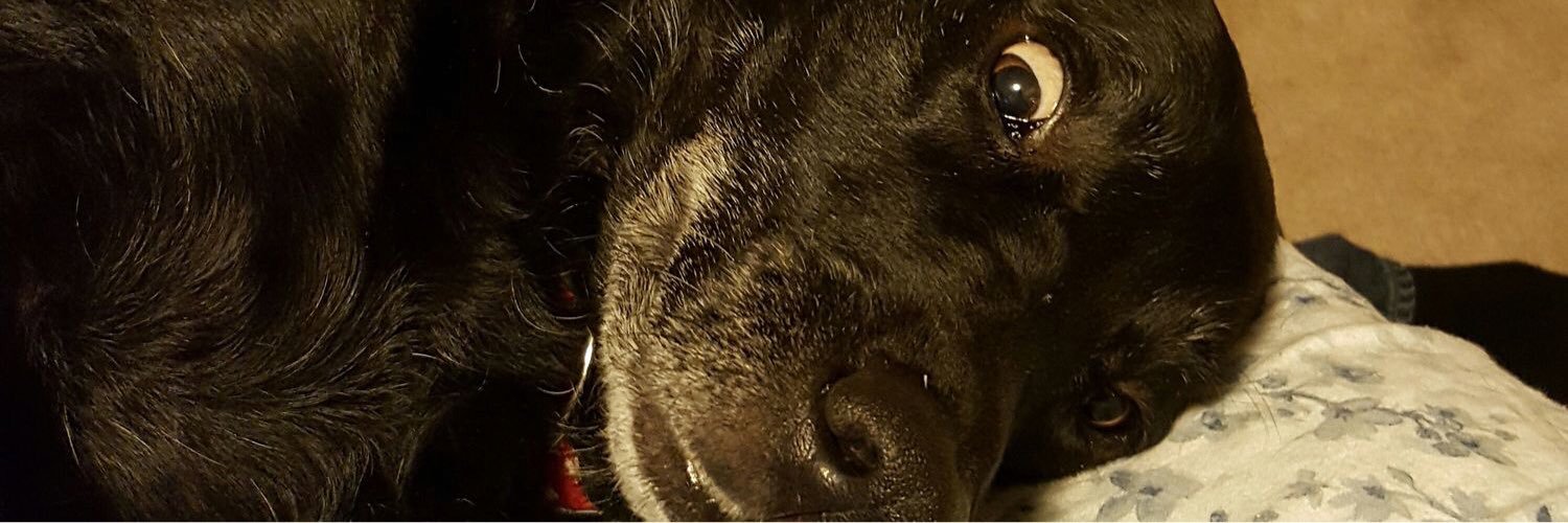 A_holmes19's profile banner image