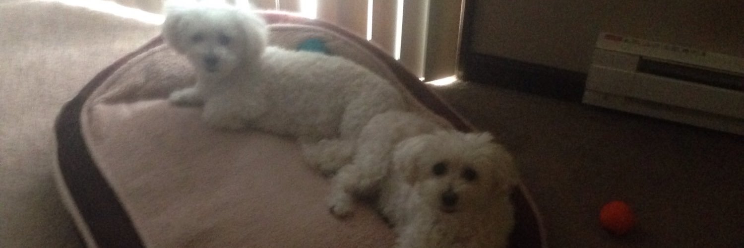 Jason Duchoslav banner