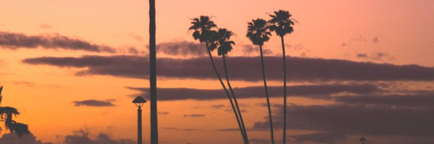 adriennemw's profile banner image