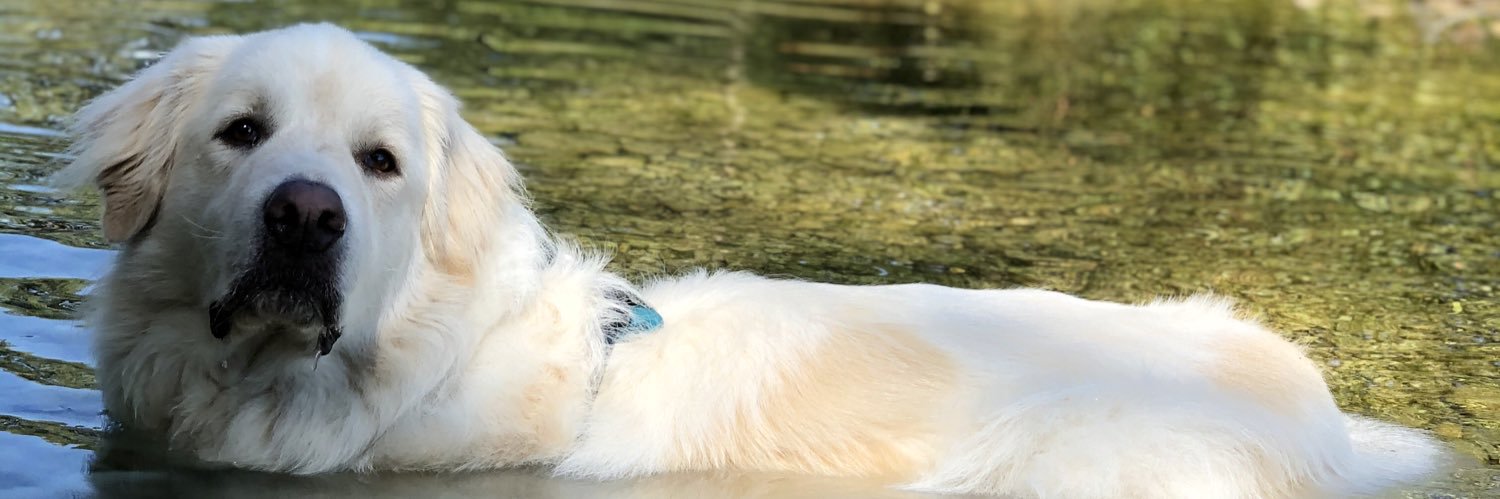olivvverrr's profile banner image