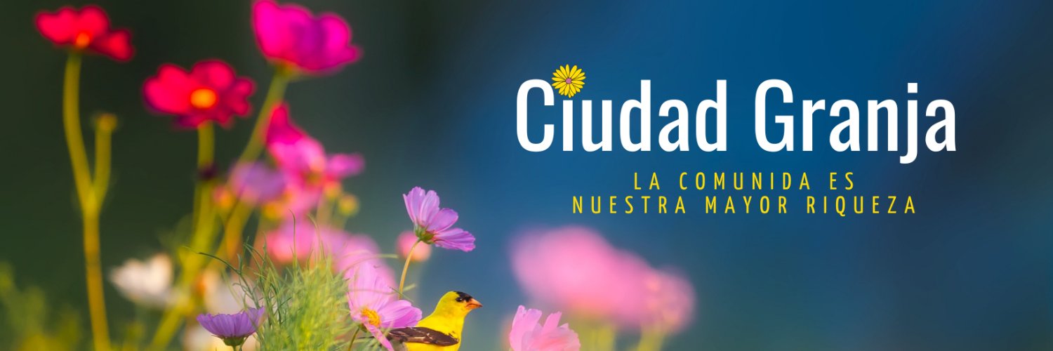 LiviValera's profile banner image