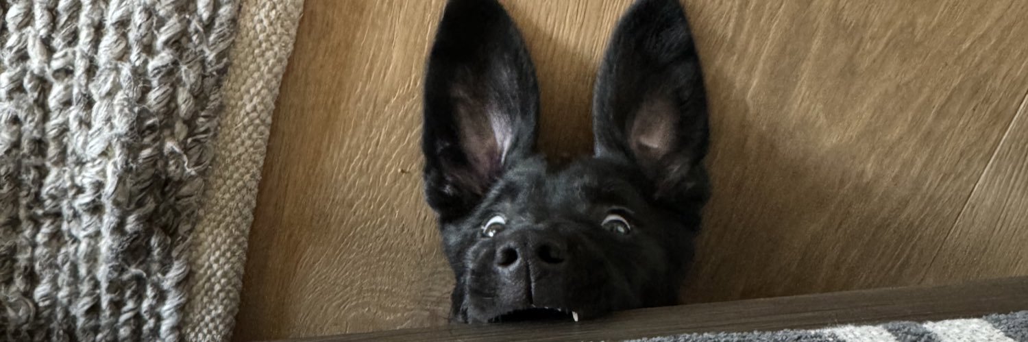 cloeymiller's profile banner image