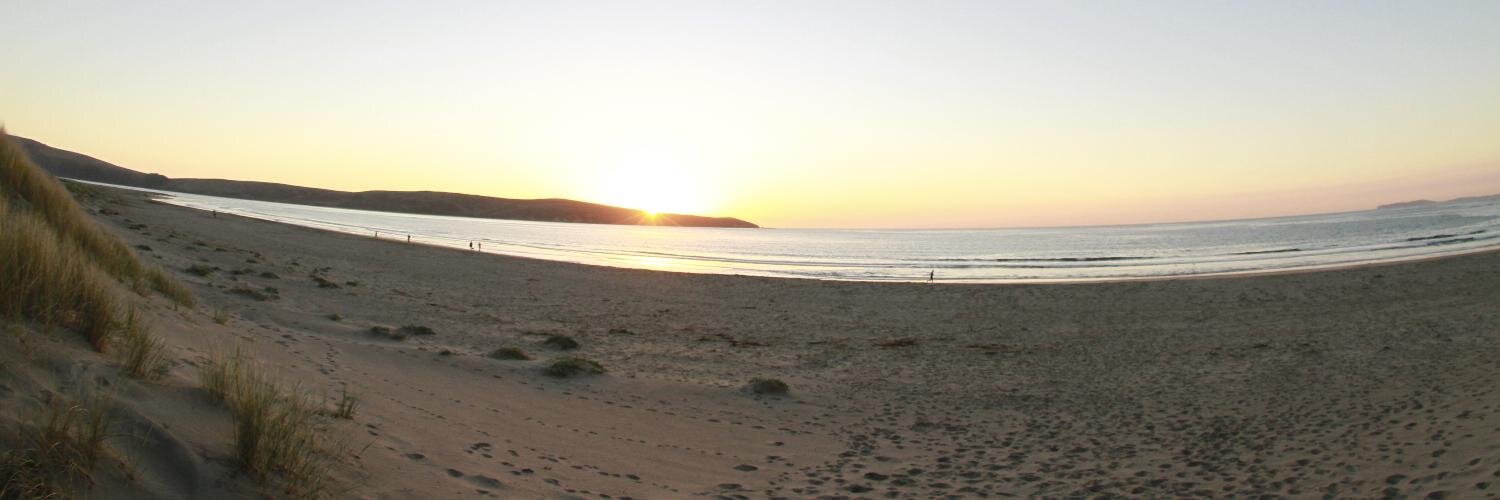 Anton Stroganov banner