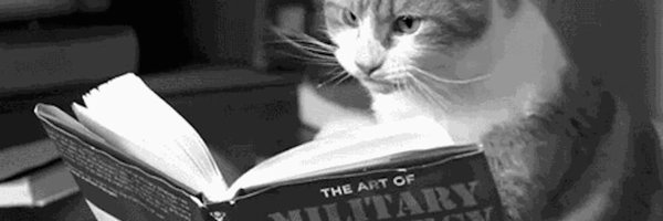 GeneralCattis Profile Banner