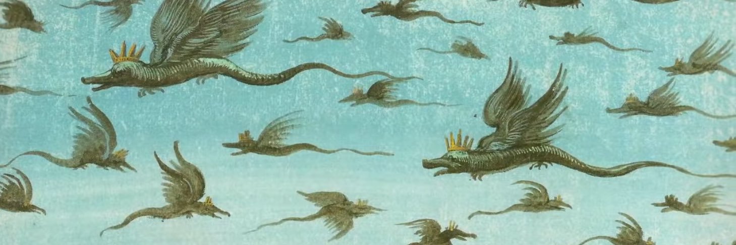 𖦹 banner