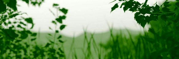 SciNaturaBree Profile Banner