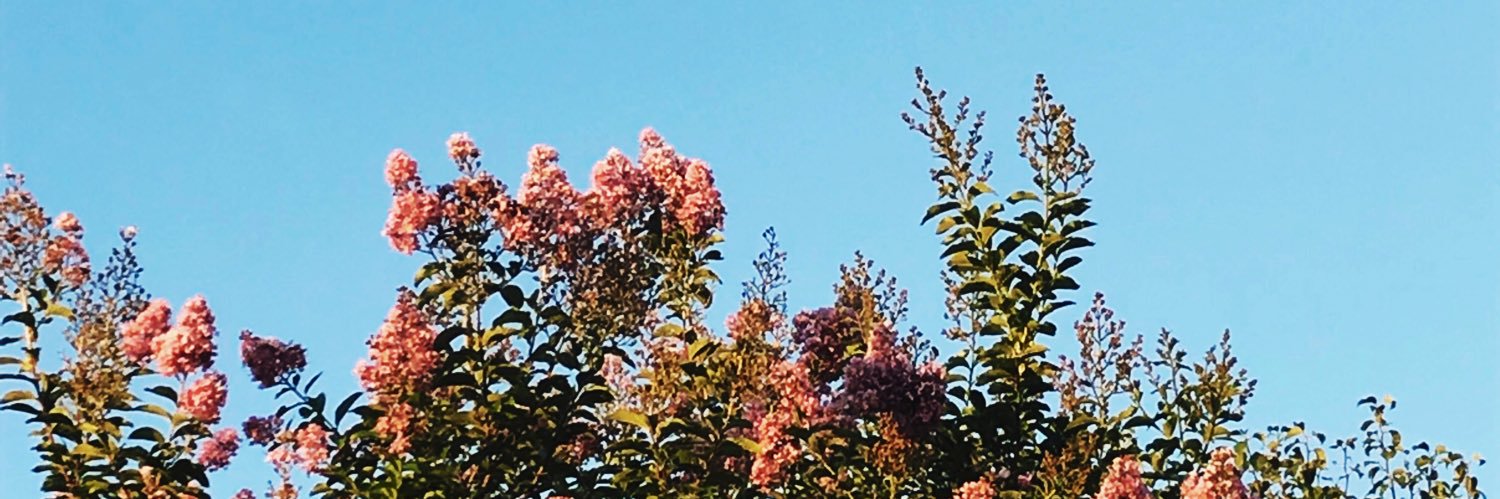 c_thomas38's profile banner image