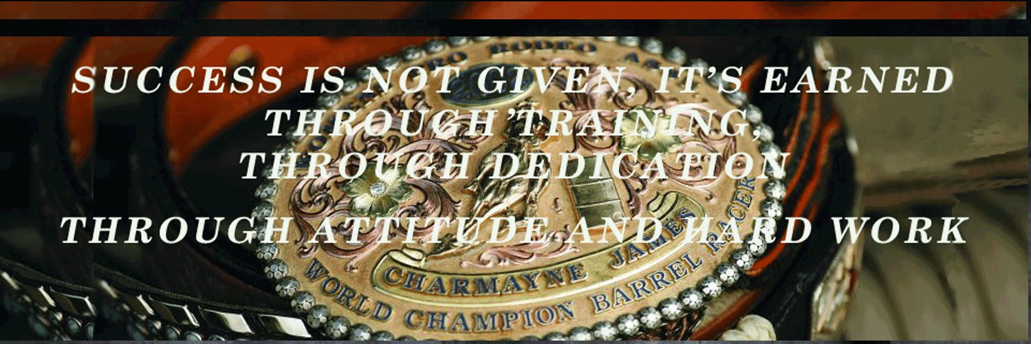 CharmayneJames's profile banner image
