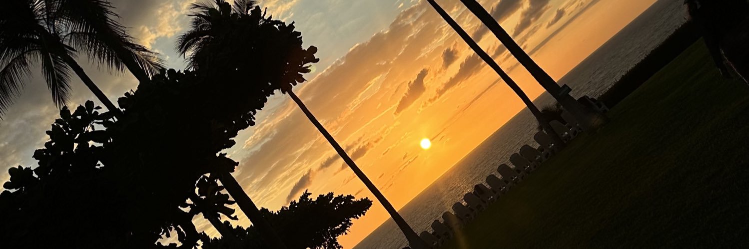 Marinnaly's profile banner image