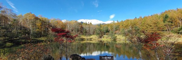 fujimotominoru Profile Banner