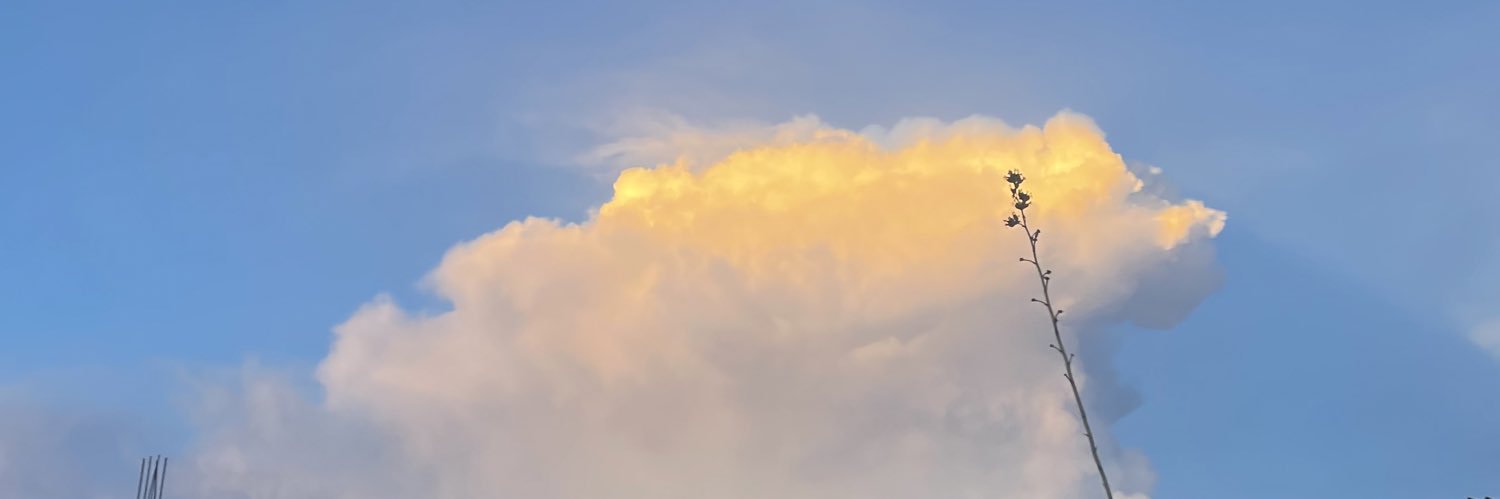 daisangeles's profile banner image
