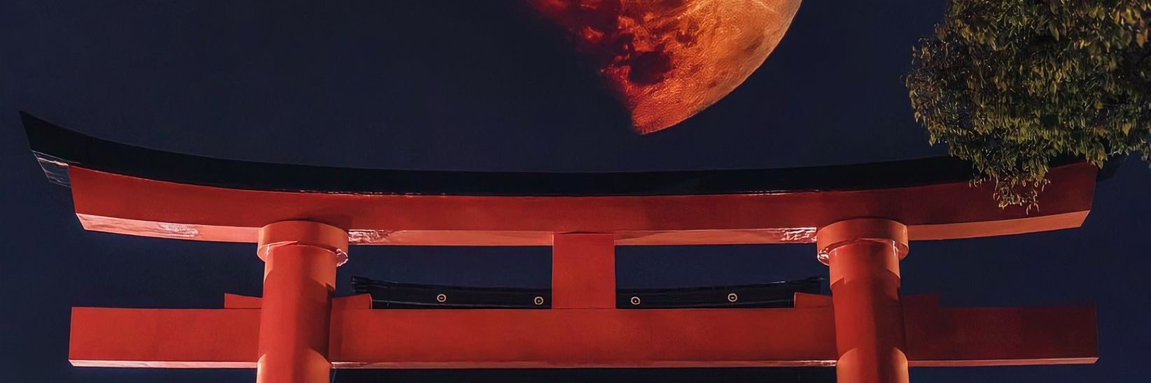 sensaput's profile banner image