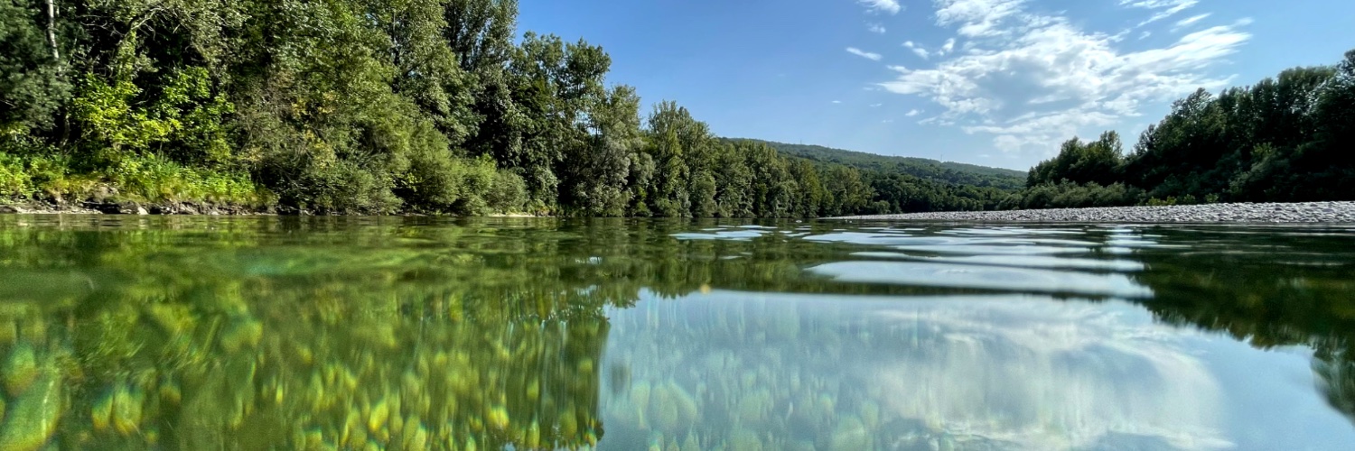 Astrid Schmidt-Kloiber banner
