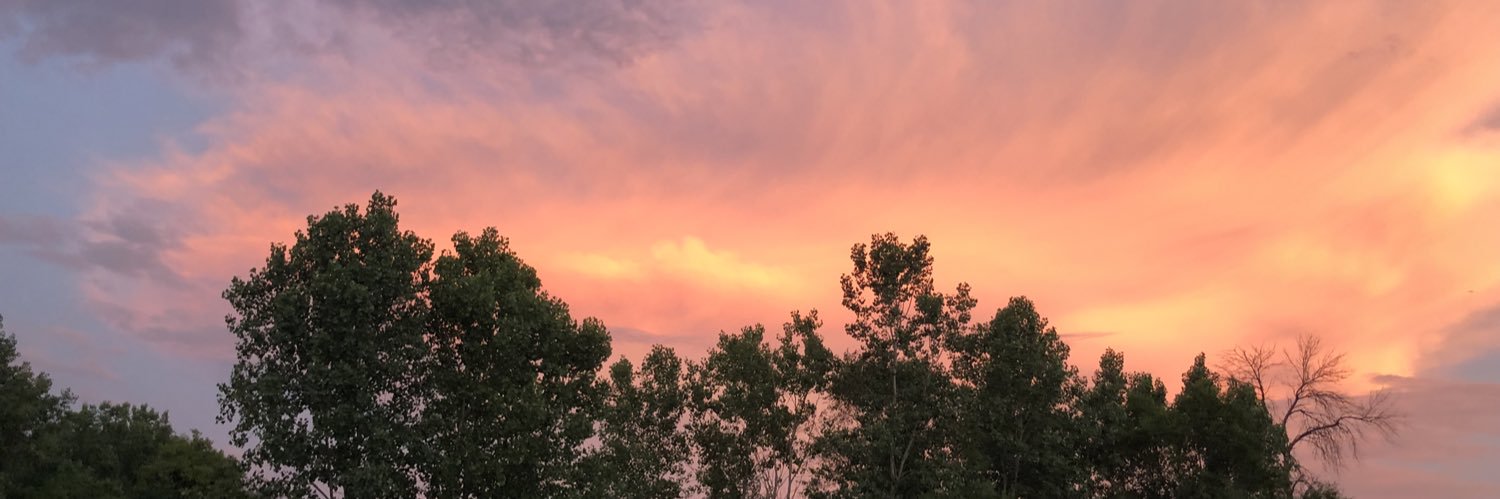 Susan Carleton banner