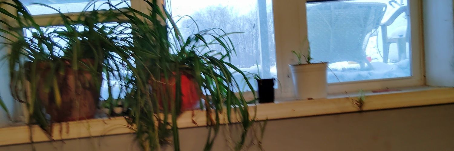 demonslayerous's profile banner image