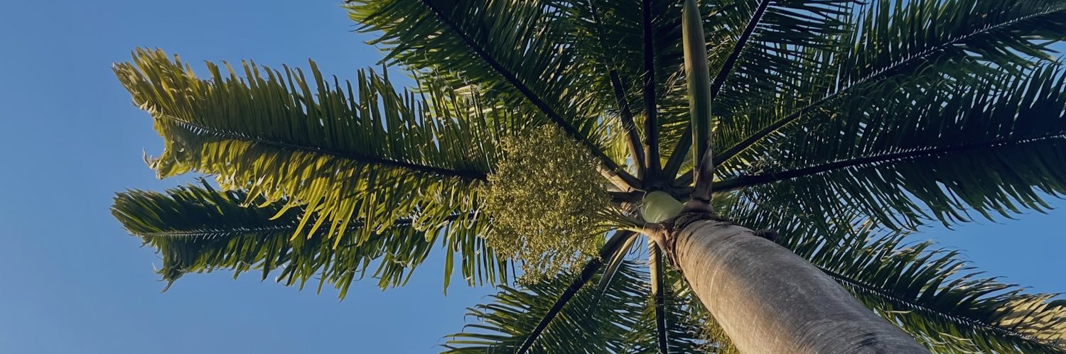 AlejandroMN12's profile banner image