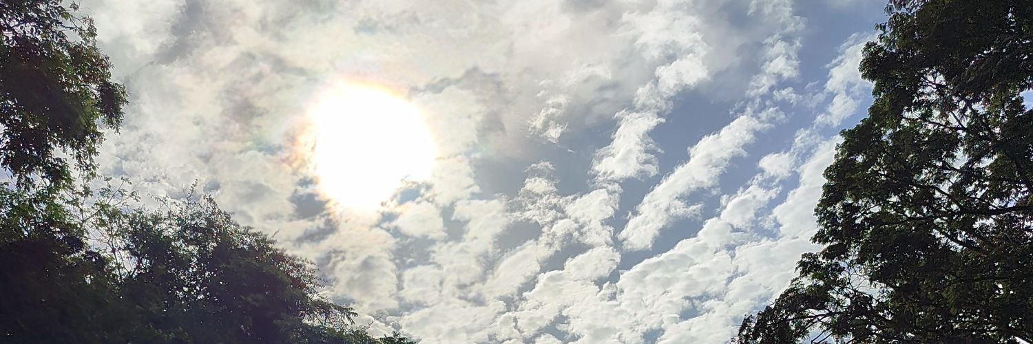 lichalito's profile banner image