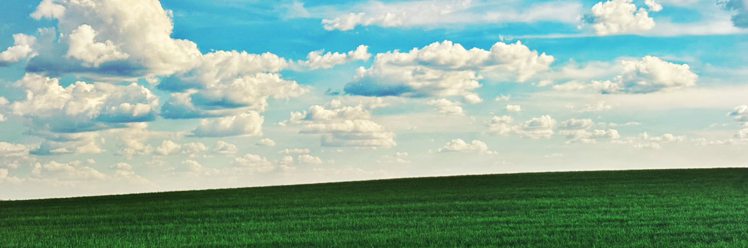 aelena's profile banner image