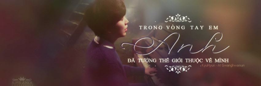 Vietnamesevaelf's profile banner image