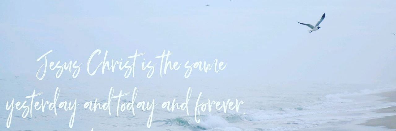 BaileyBrandAmy's profile banner image