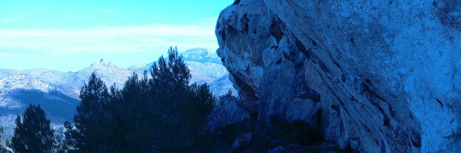 Rainer Koppitz banner