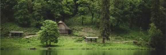 Lil Pepper 🕊🐾🌲🧷🐝🏴󠁧󠁢󠁳󠁣󠁴󠁿🇮🇪🇺🇦 banner