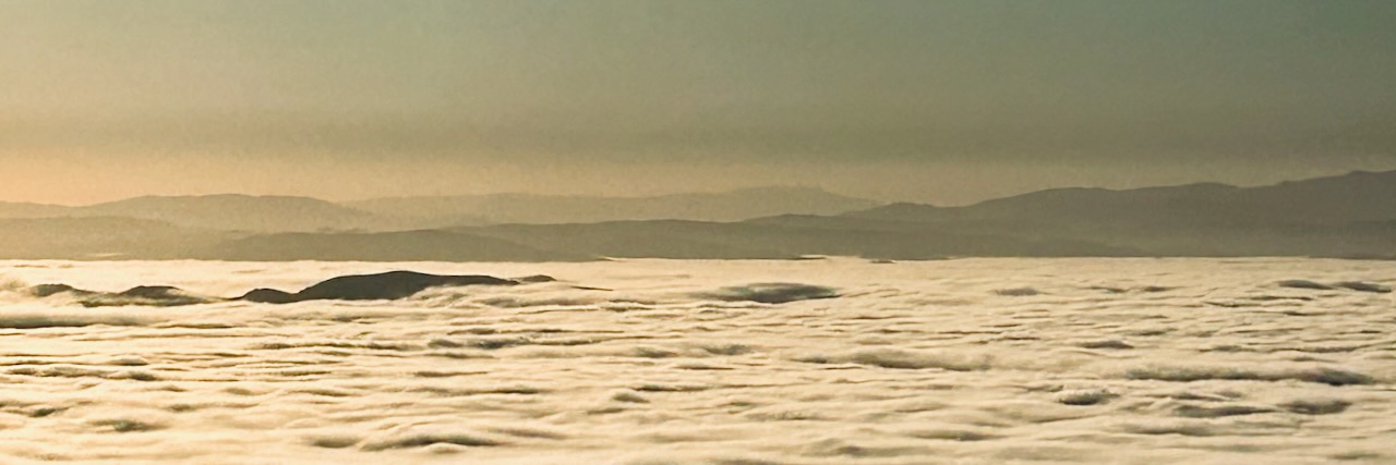 melanie senn's banner