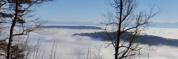 EvaMariaAnna Profile Banner