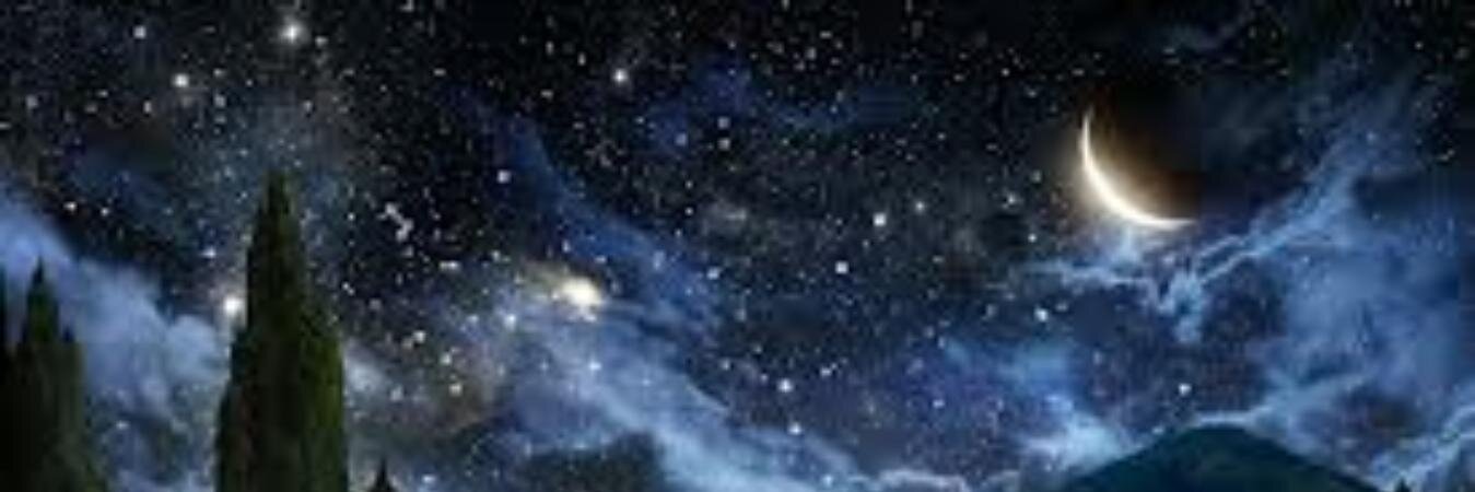 rosehart7375's profile banner image