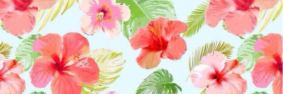 aiideeh's profile banner image