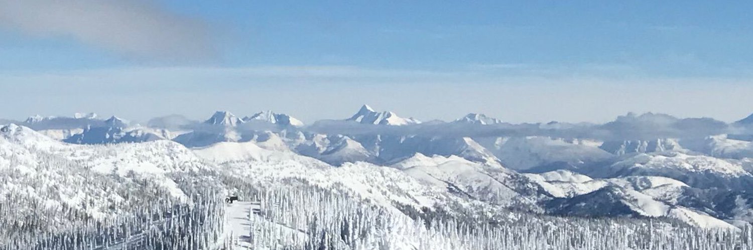 Johnson Wagner banner