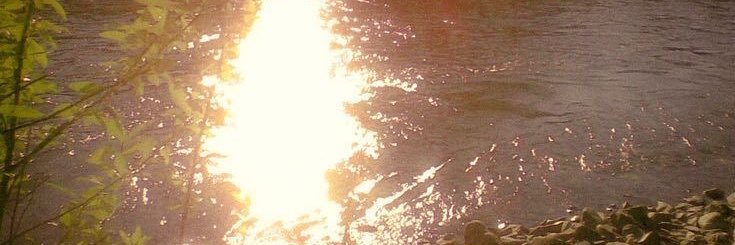 Kiano banner
