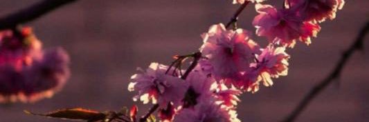 OTBN80's profile banner image