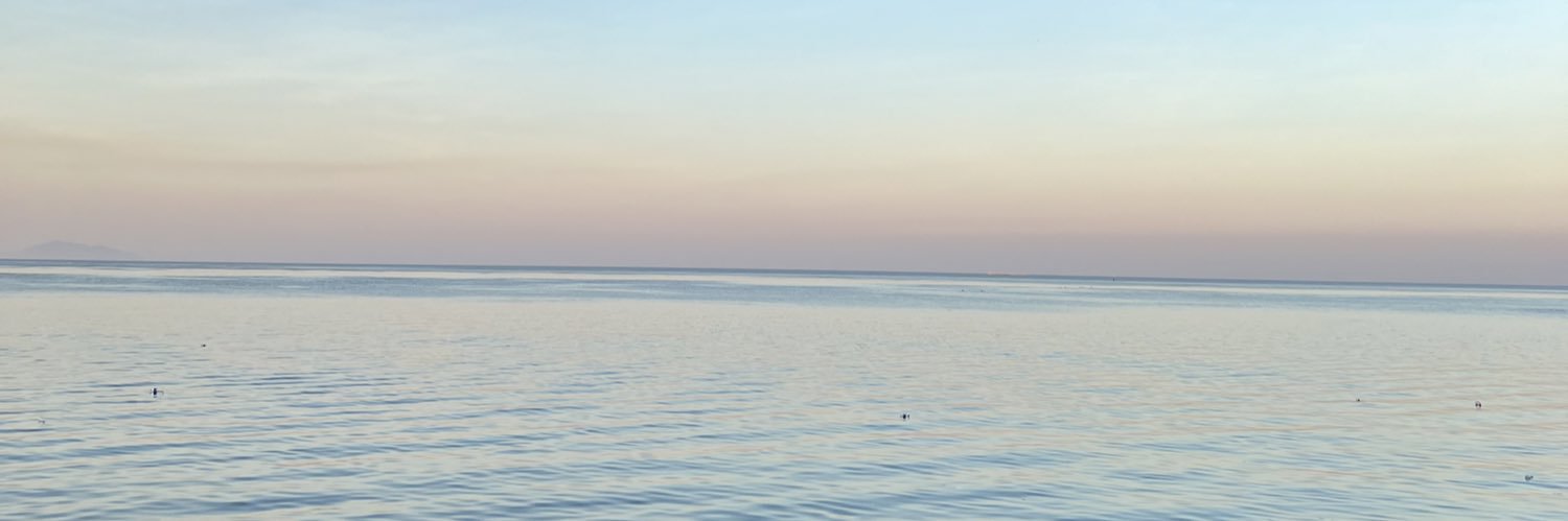 Is it a safe zone? banner