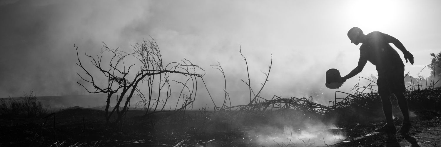 basilio1376's profile banner image