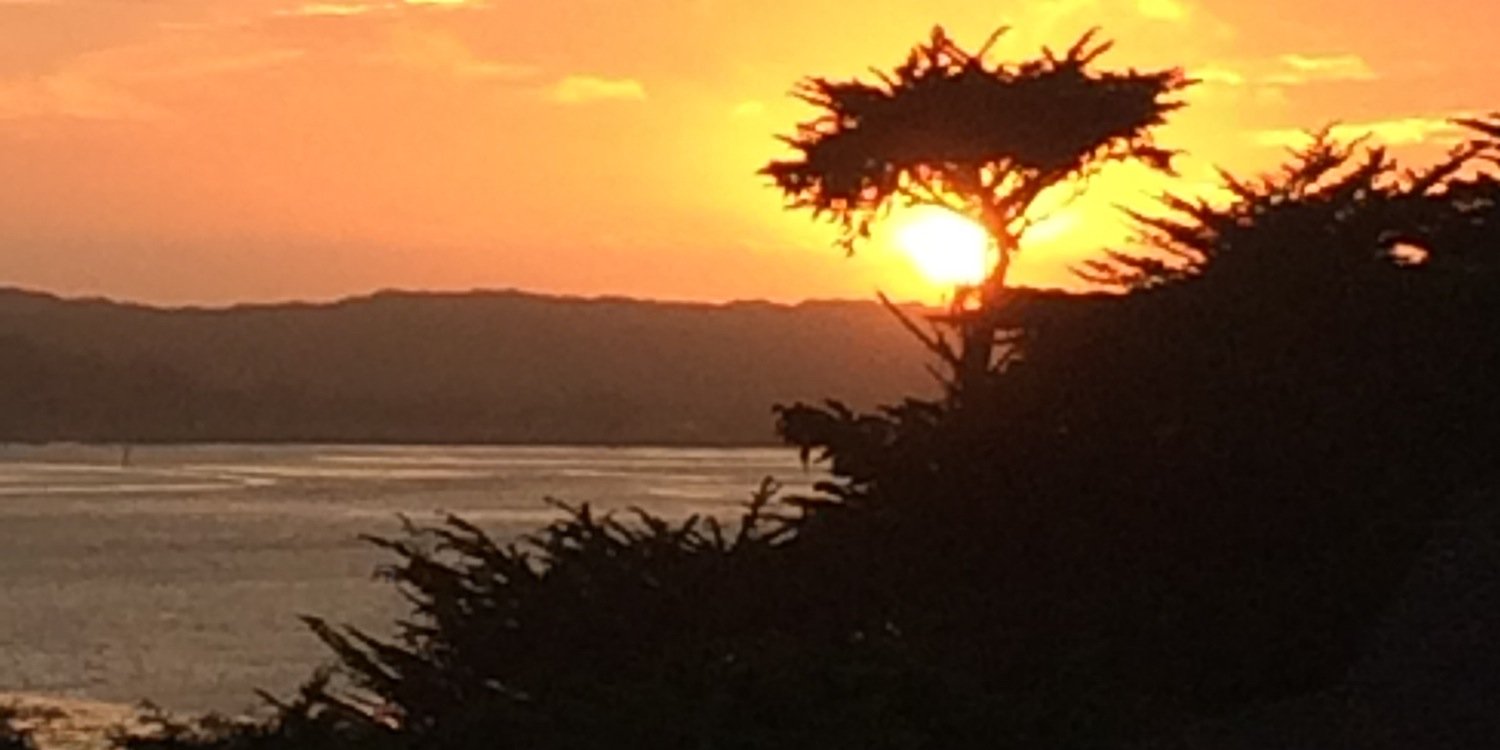 1maurak's profile banner image
