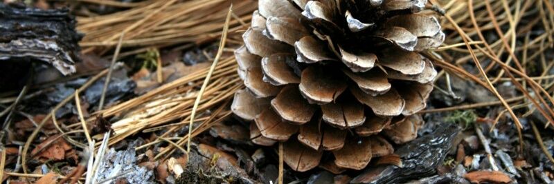 StianVanOrson banner