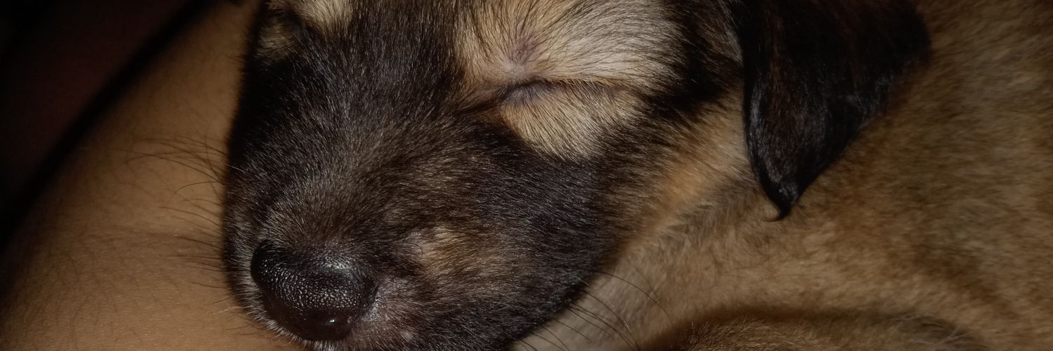 DianeDrct's profile banner image