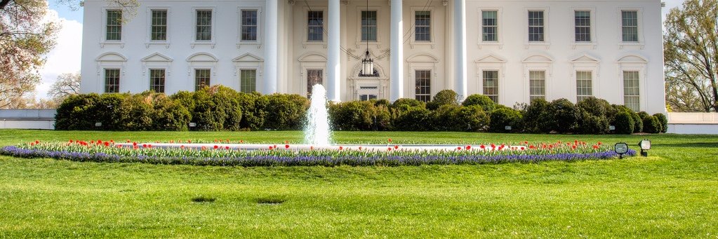 DarnaldJTrump's profile banner image