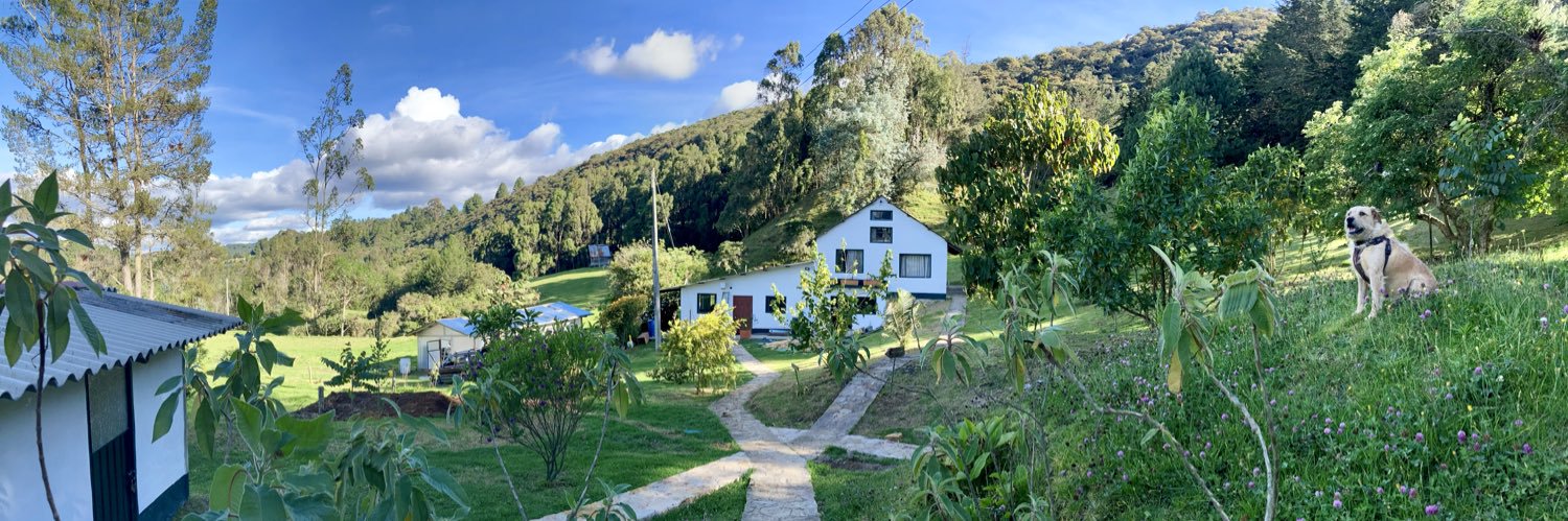 Erich Pinzón-Fuchs banner