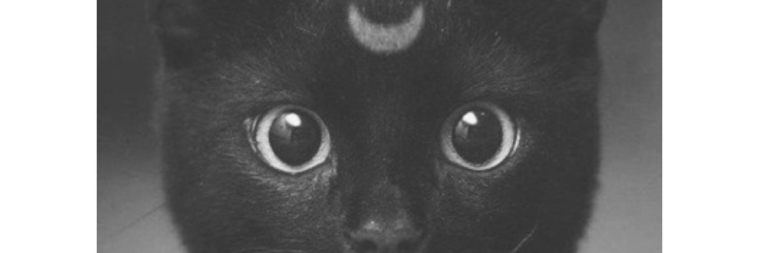 joni_dewar's profile banner image