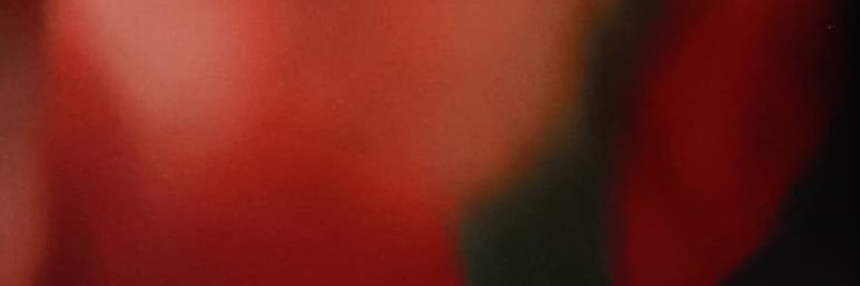 Alexa Heredia's banner